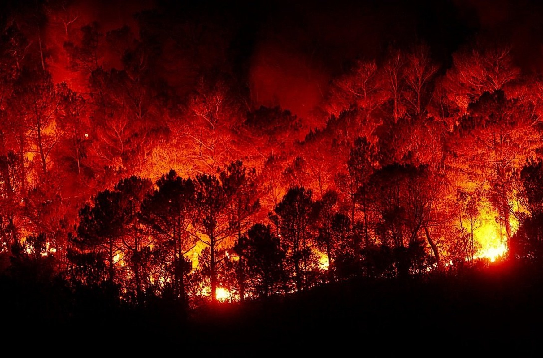 В Якутии из-за лесных пожаров ввели режим ЧС 