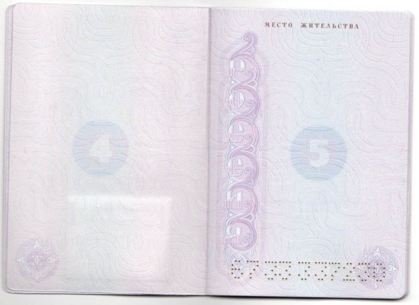 Мелитопольцам выдали паспорта РФ, в которых нет прописки. С ними нельзя получать пособия и прикрепляться к поликлинике — РИА «Мелитополь»