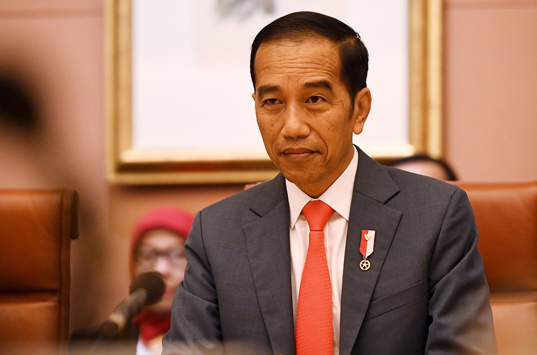 Президент Индонезии планирует призвать Путина и Зеленского к диалогу о мире