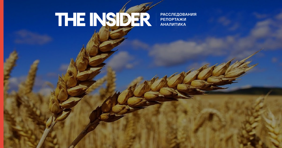 Фейк Лаврова: Украина производит так мало зерна, что его потеря не могла привести мир к продовольственному кризису