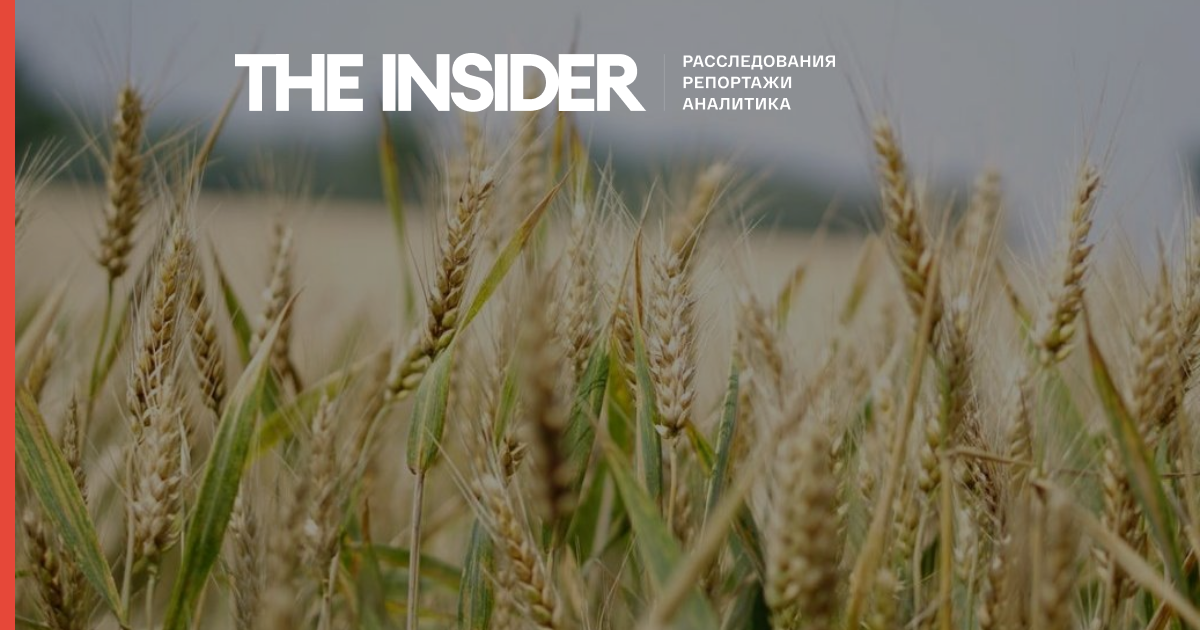 Египет расторг контракт на покупку 240 тысяч тонн пшеницы из Украины. Накануне Каир посетил Лавров