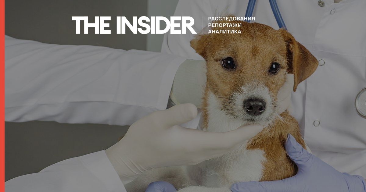 В России заканчиваются импортные ветеринарные препараты и вакцины, необходимые для вывоза питомцев за границу – «Медиазона»