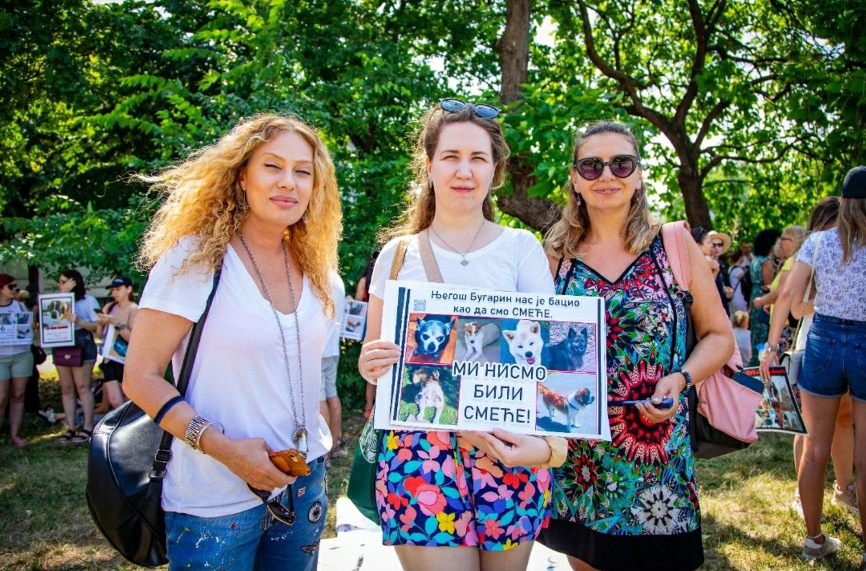 Сербская компания «потеряла» собак российских эмигрантов. Животные погибли, и перевозчик выбросил их тела