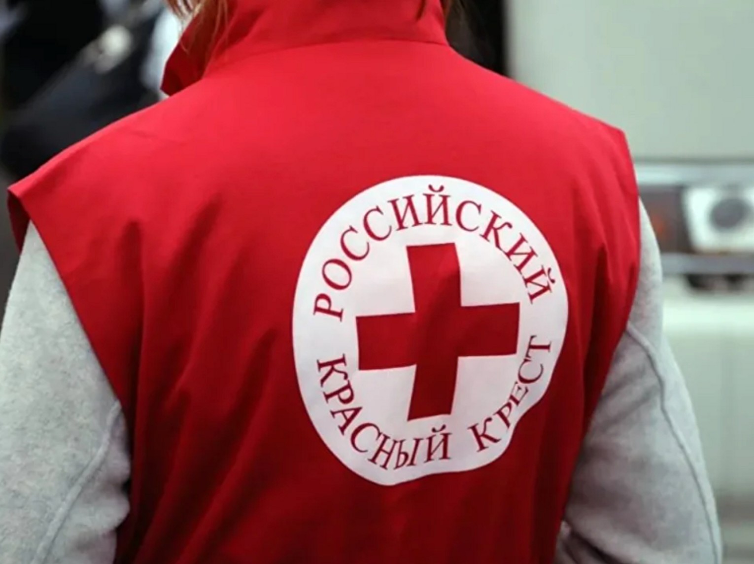 Российский Красный Крест, который должен быть независимым, пропагандирует войну даже среди беженцев — «Верстка»