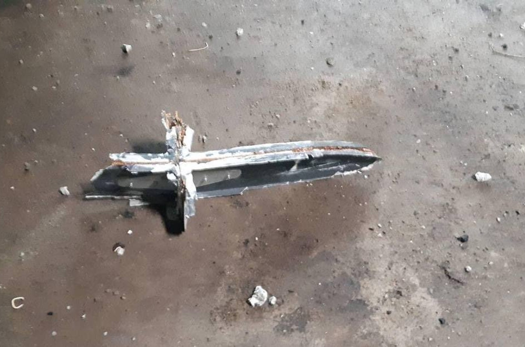ВСУ впервые сбили иранский дрон Shahed-136, который Россия пыталась замаскировать под свой беспилотник «Герань-2»