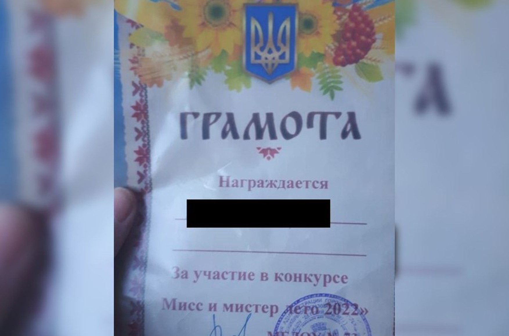Читинский детский сад проверят из-за грамот с гербом Украины