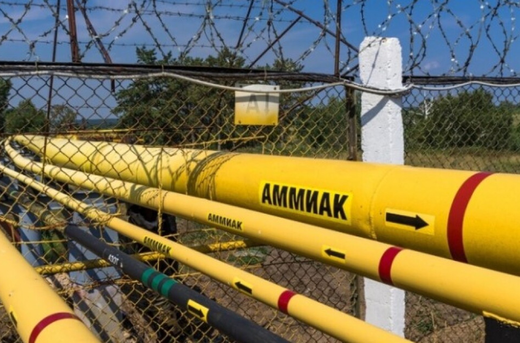 Зеленский предложил возобновить экспорт российского аммиака через Украину в обмен на освобождение украинских пленных