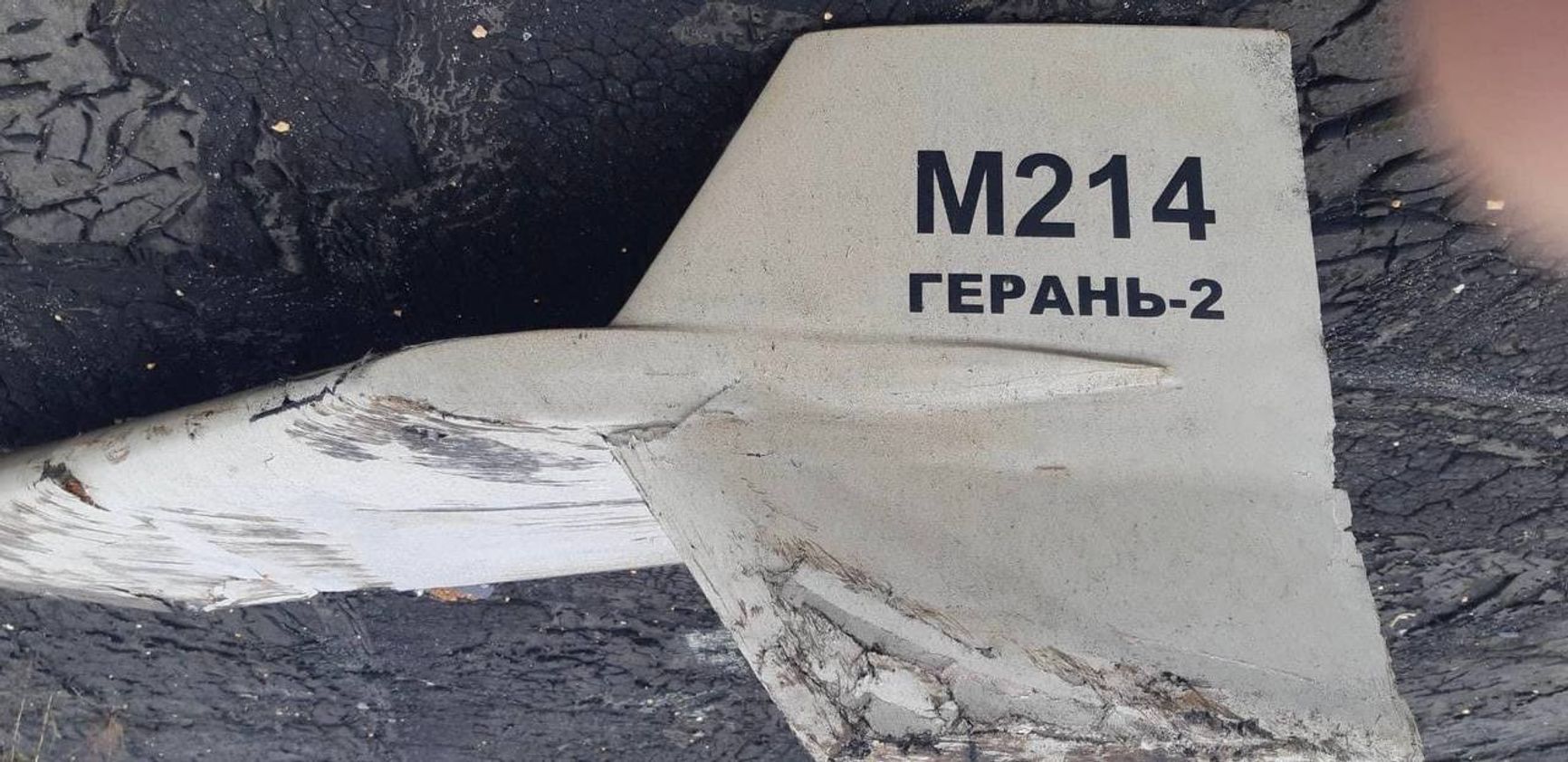 ВСУ впервые сбили иранский дрон Shahed-136, который Россия пыталась замаскировать под свой беспилотник «Герань-2»