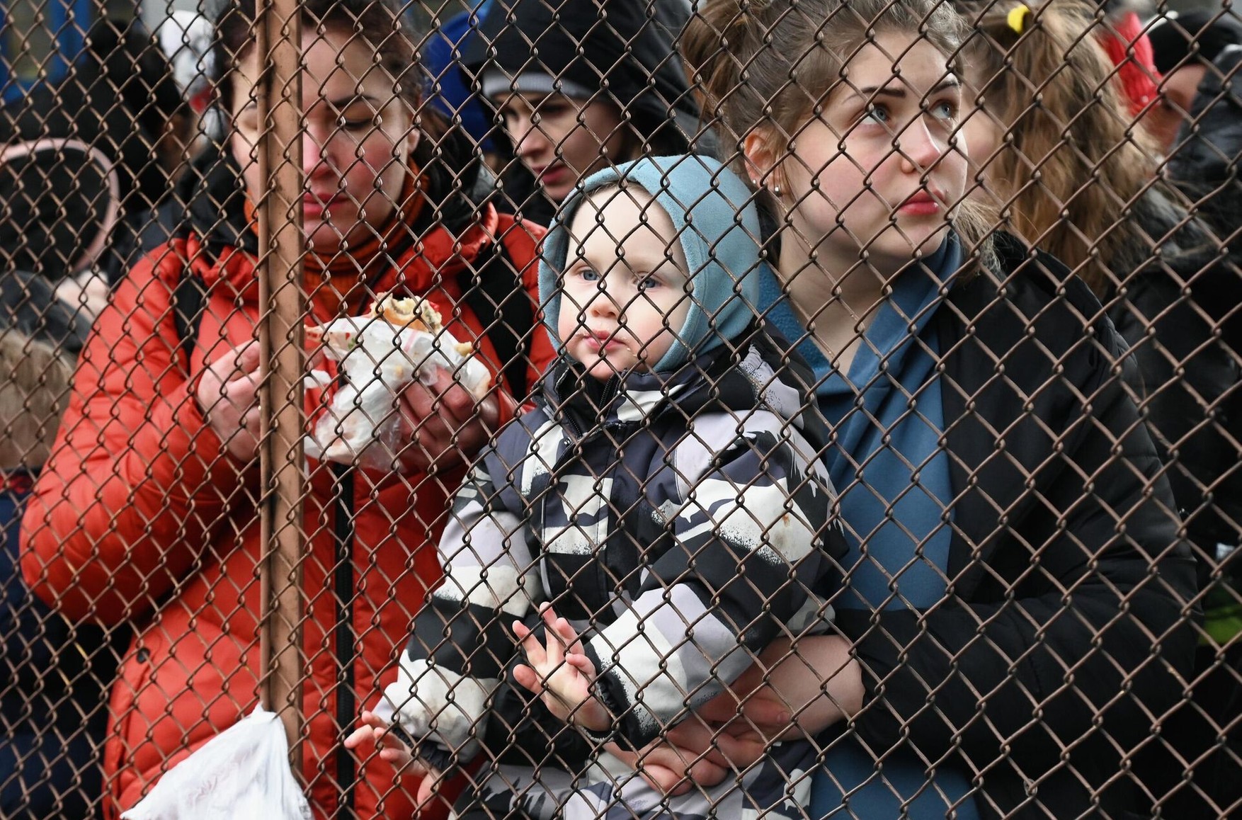 Число украинских беженцев в России оказалось в несколько раз ниже заявленного властями — «Гражданское содействие»