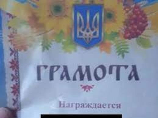 В детском саду Читы детям за участие в конкурсе «Мистер и мисс лето-2022» выдали грамоты с гербом Украины