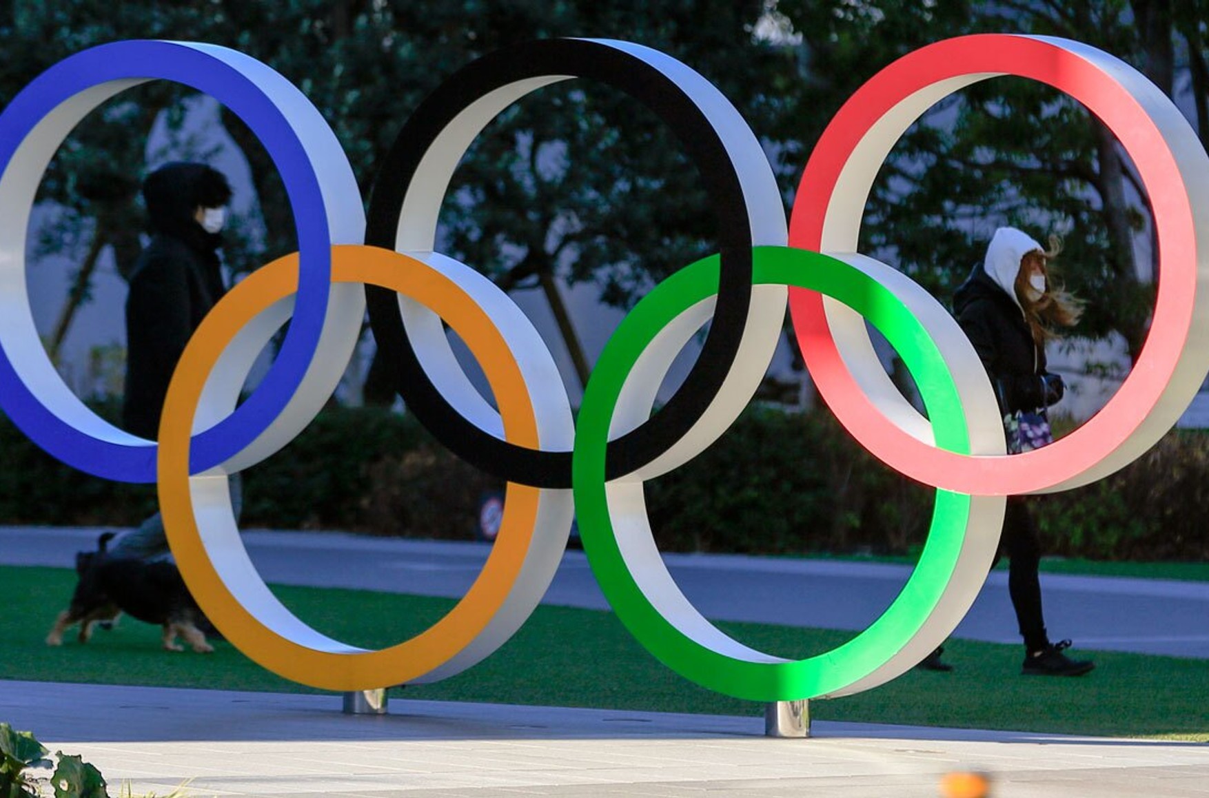 МОК лишил Россию трансляций Олимпийских игр в 2026–2032 годах