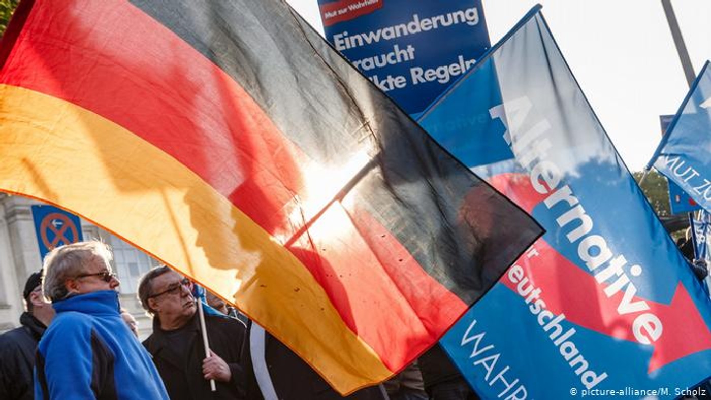 Німецька держбезпека зарахувала партію «Альтернатива для Німеччини» до підозрюваних в правому екстремізмі