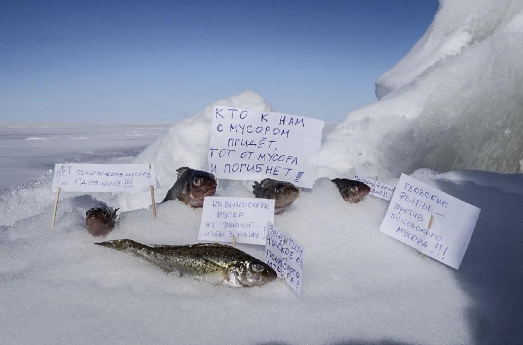 На льоду Чудського озера пройшов «мітинг риб» проти вивозу сміття з Пскова на новий полігон відходів
