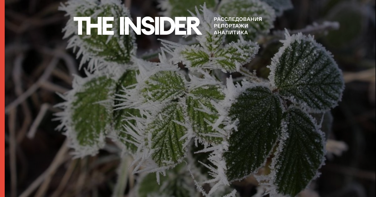 Гідрометцентр попередив про заморозки в багатьох регіонах Росії протягом найближчих днів