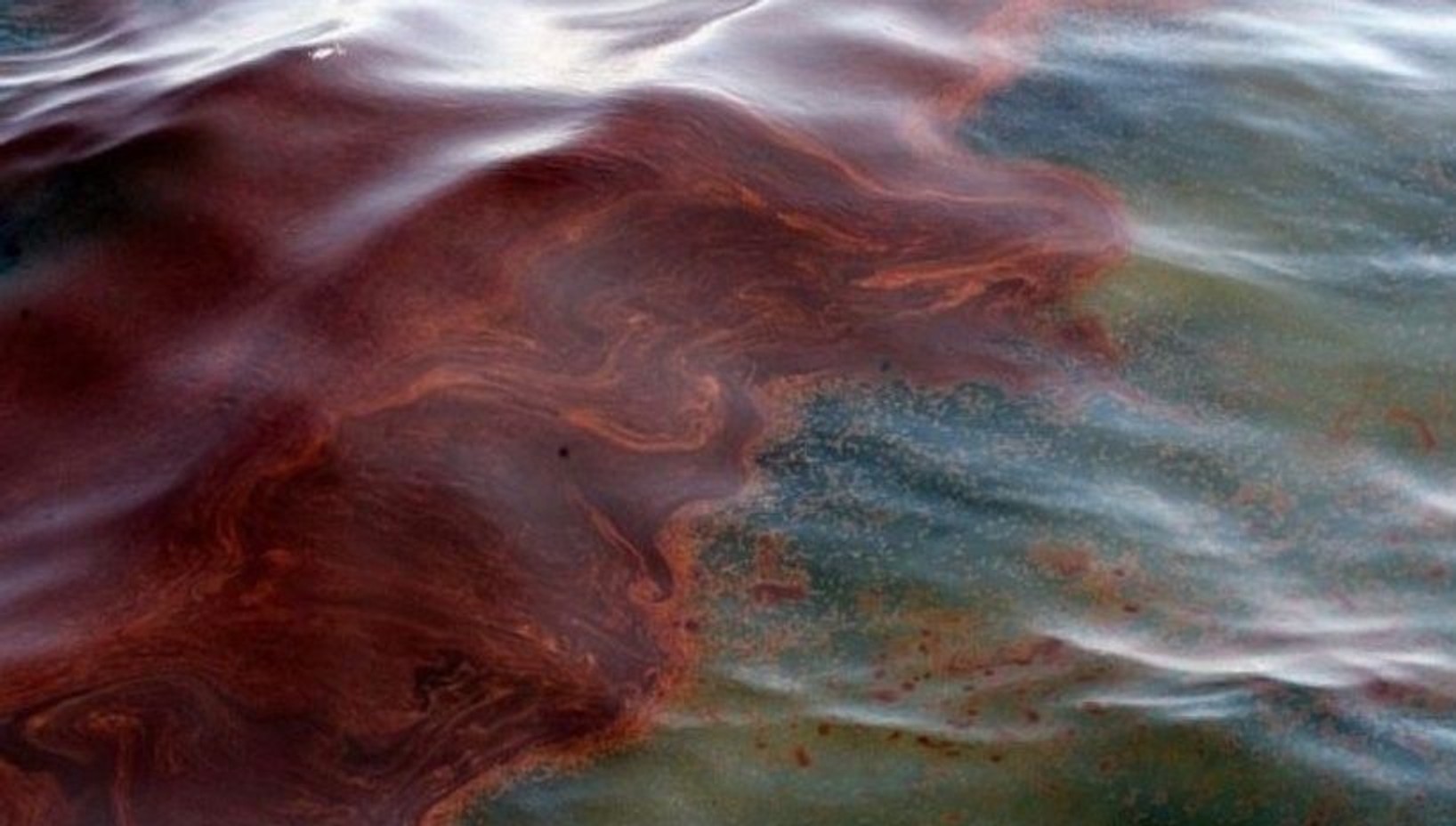 У Краснодарському краї відбувся черговий витік нафти в море. На цей раз в порту Темрюк