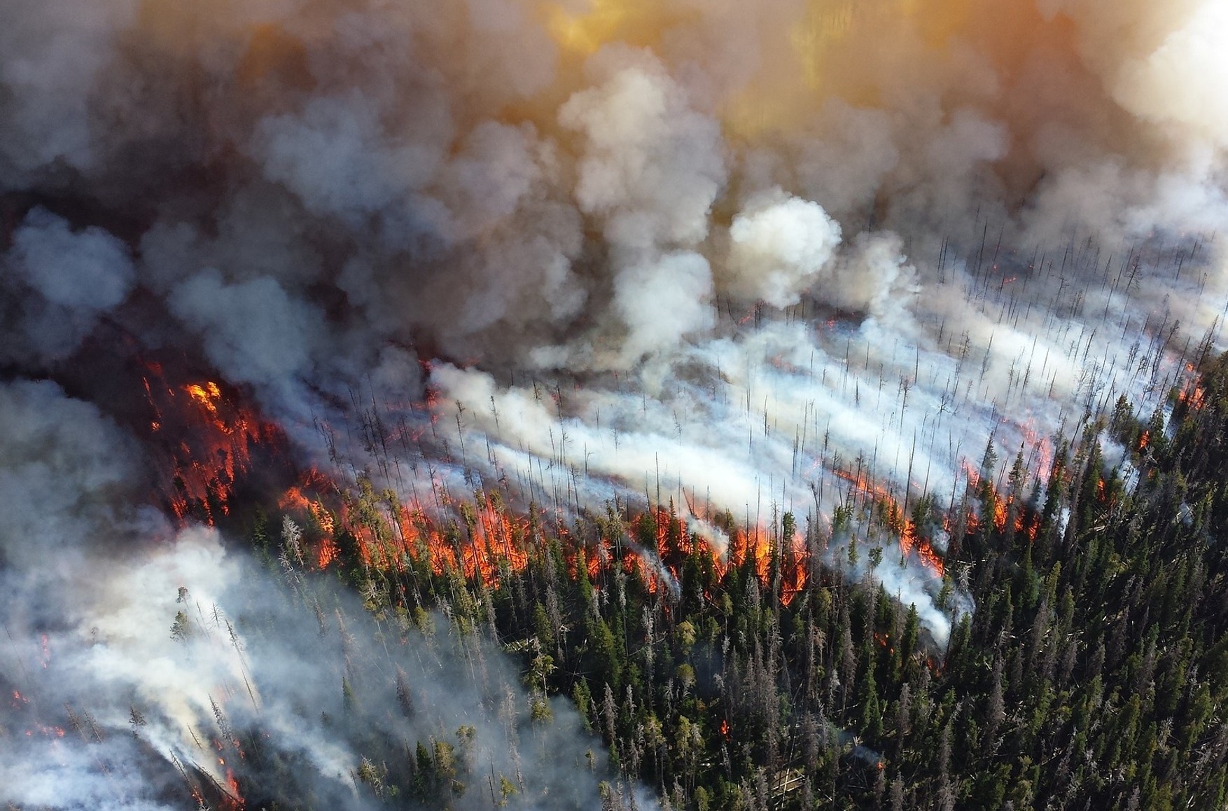 В Якутії продовжує горіти 100 тисяч гектарів лісу