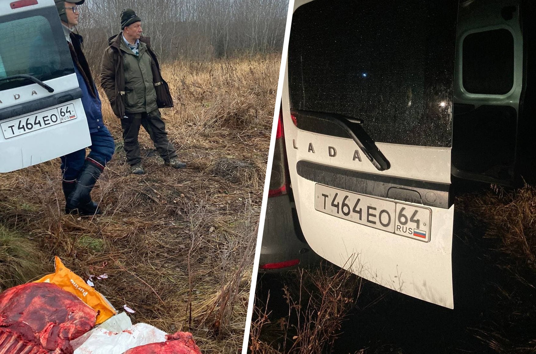 Депутата Валерія Рашкіна спіймали з убитим лосем у машині в мисливських угіддях під Саратовим