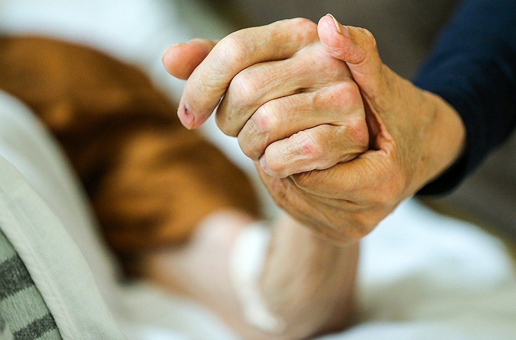 Австрійський уряд схвалив законопроект, що дозволяє непряму евтаназію для тяжкохворих пацієнтів