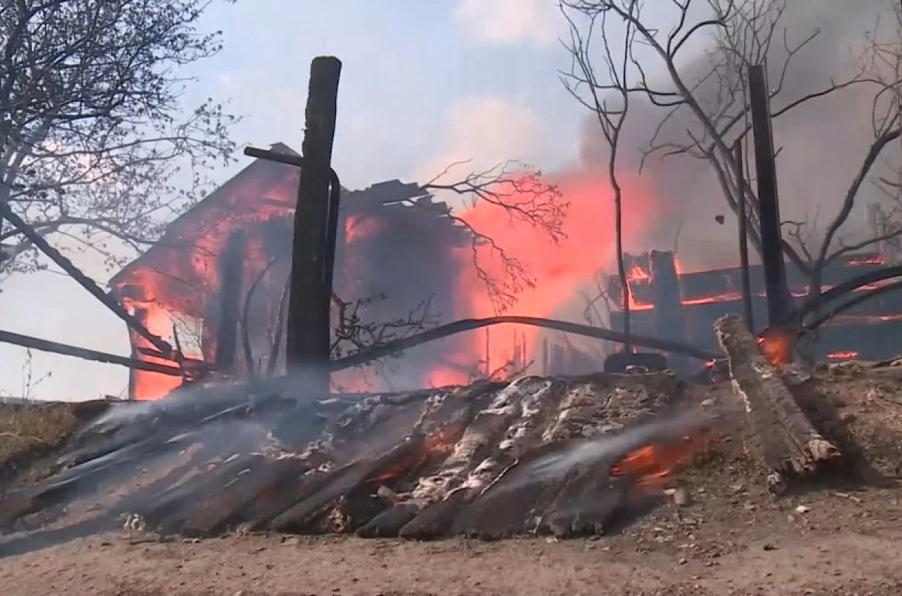МЧС: с конца апреля из-за лесных пожаров на территории России погибли 16 человек