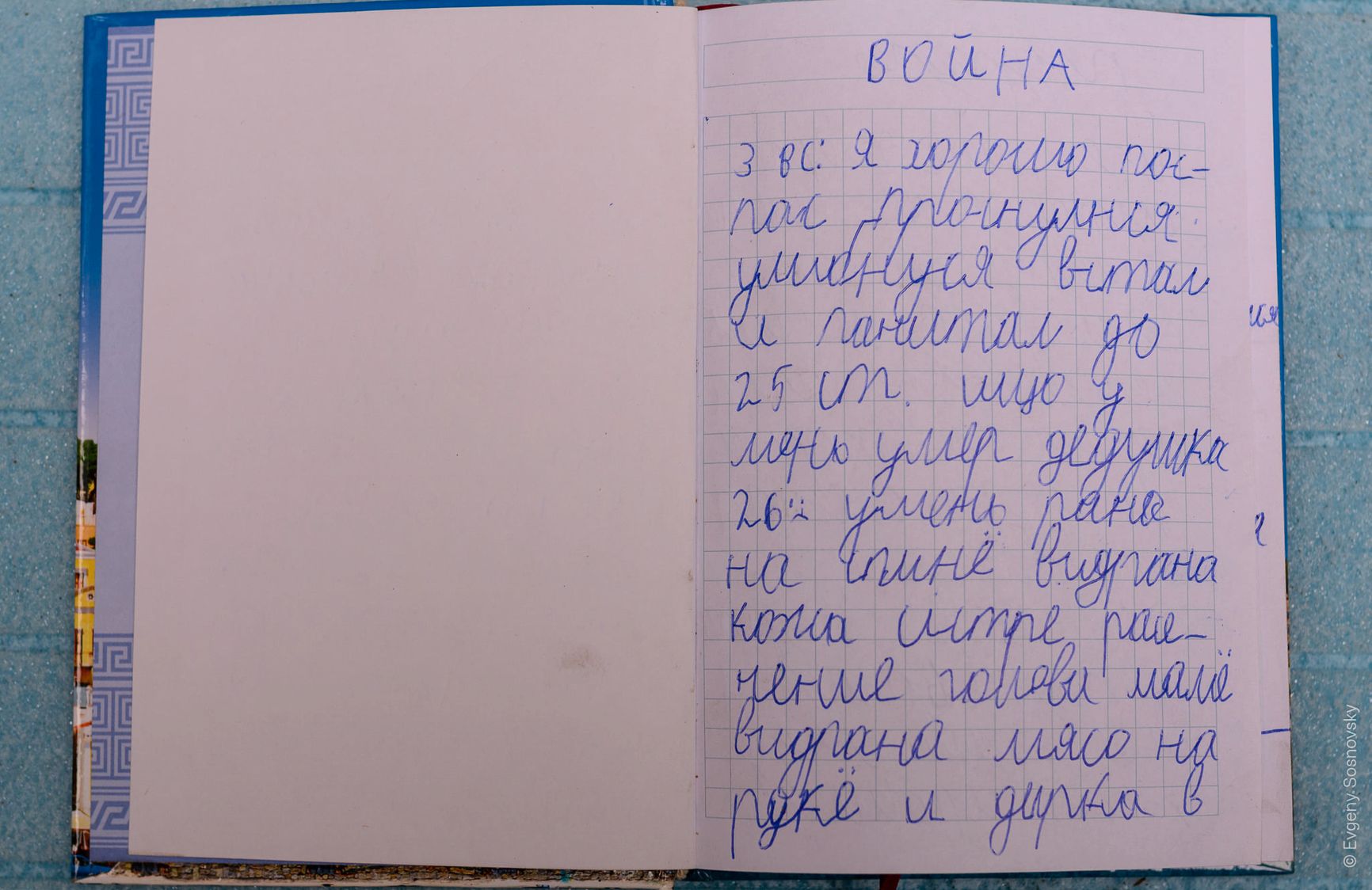 «У меня умерли дедушка, бабушка, две собаки». Фотограф опубликовал дневник 8-летнего ребенка из Мариуполя