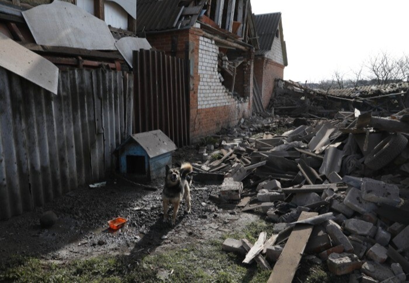Жители Белгородской области повреждают дома и выдают это за обстрел, чтобы сделать ремонт — губернатор Гладков