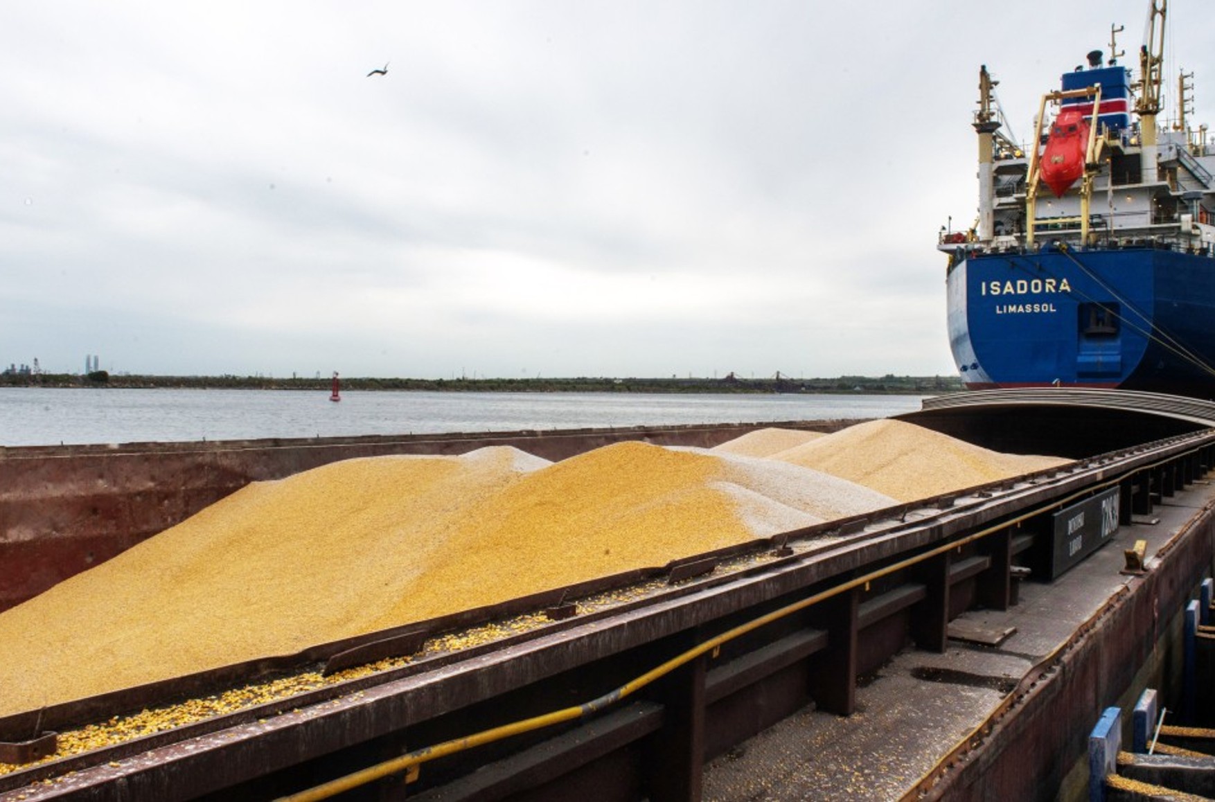 Отправка судов с продовольствием из Украины по «зерновому коридору» возобновится 3 ноября — украинские власти
