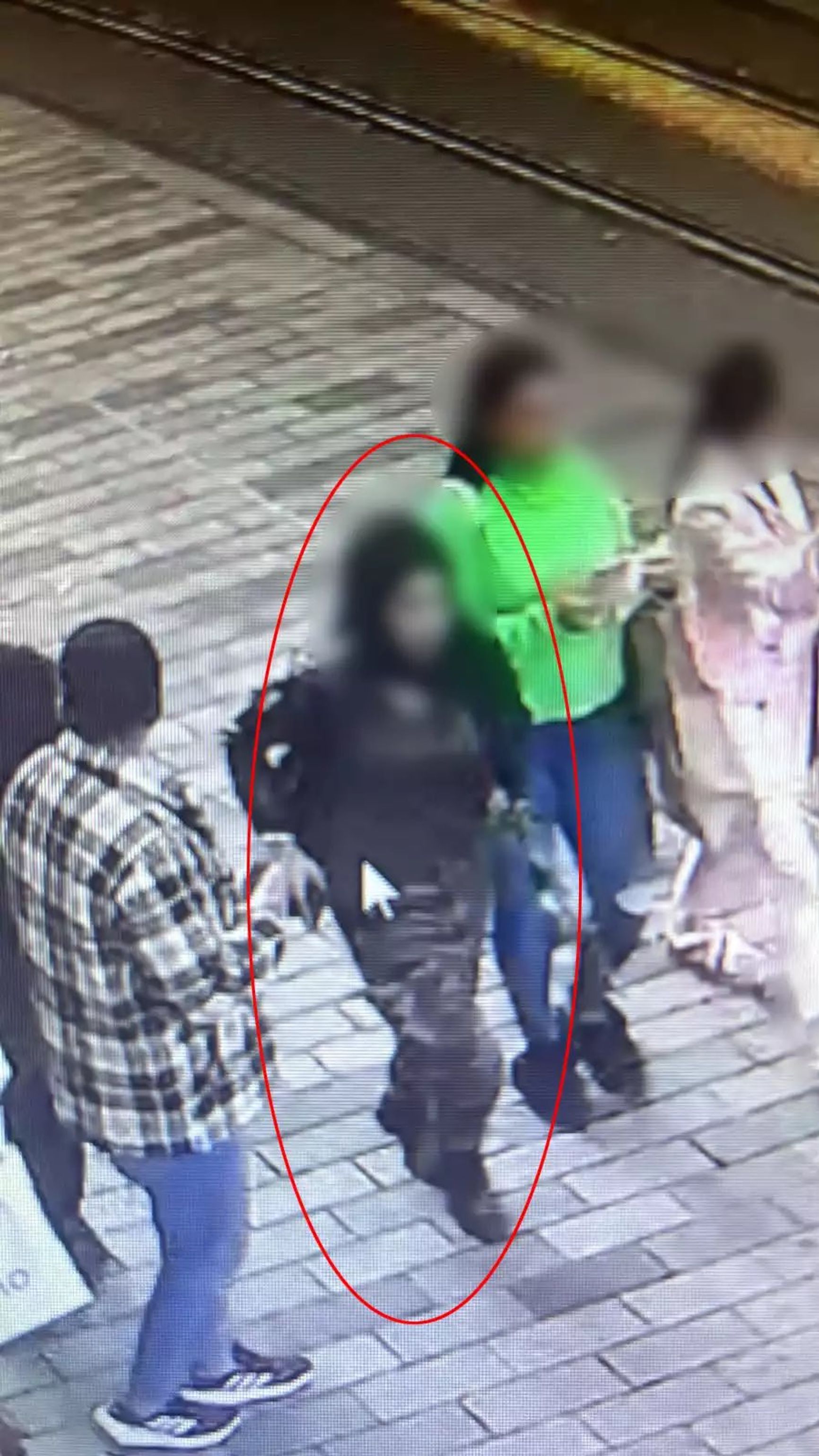 Во взрыве в Стамбуле подозревается женщина, ее разыскивают, сообщили власти Турции