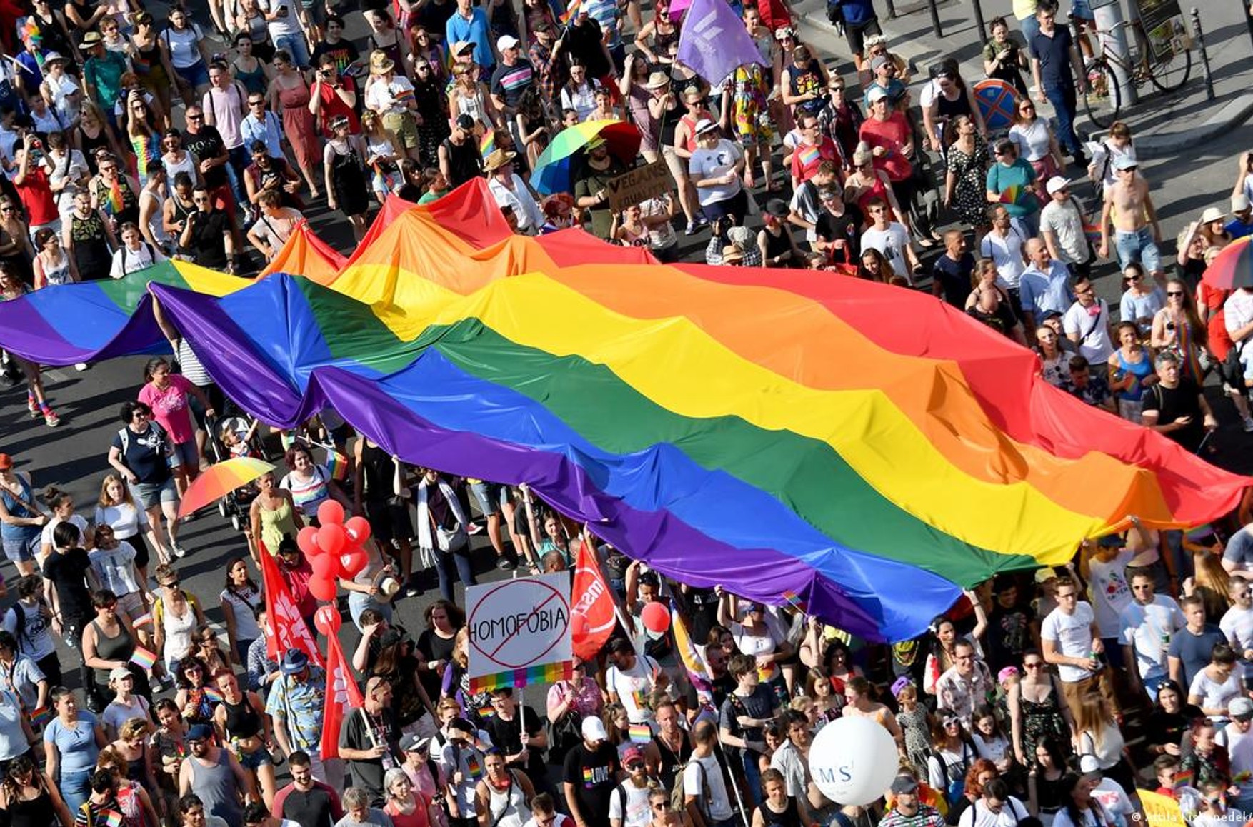 Сенат одобрил законопроект о защите однополых браков в США