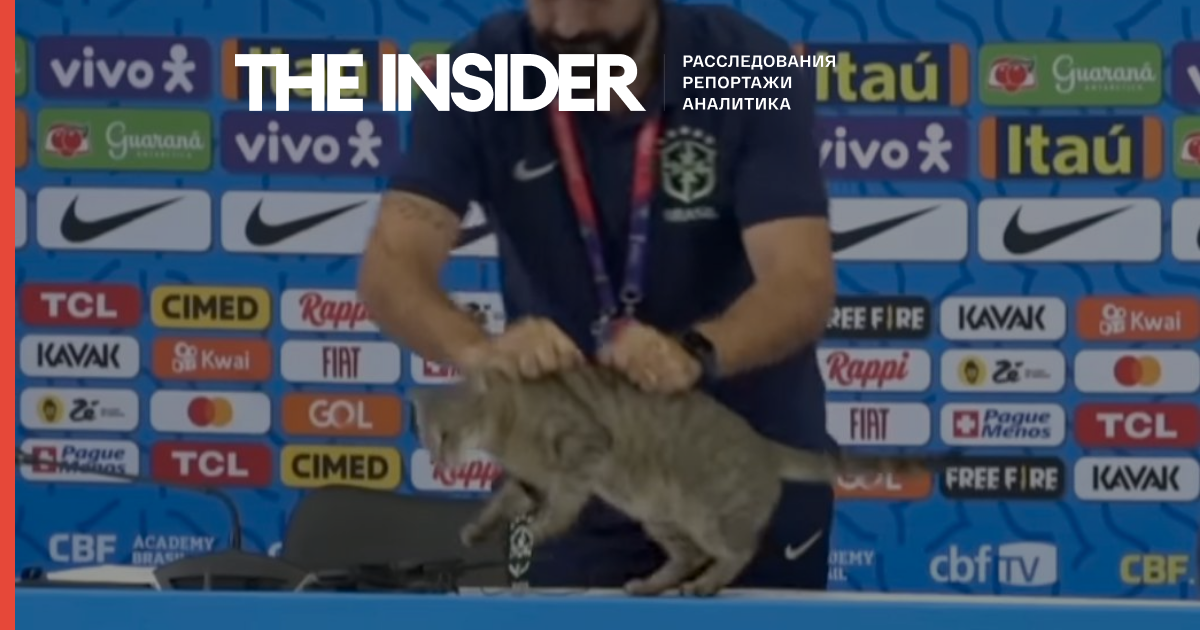 Пресс-атташе сборной Бразилии по футболу сбросил кота со стола и вызвал этим скандал