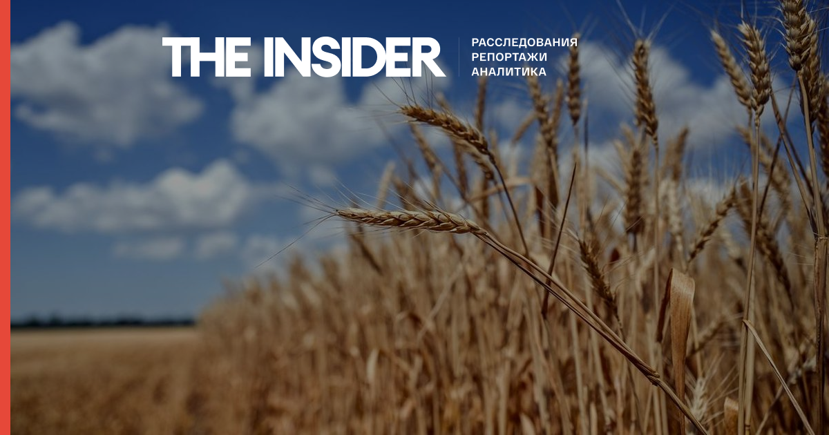 «Я хочу выжить ради себя и своей земли». Украинские фермеры о деградации сельского хозяйства из-за войны
