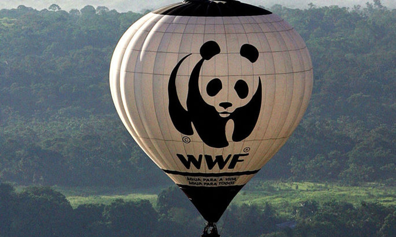 С сайта WWF после объявления фонда «иноагентом» исчезла страница с именами попечительского и наблюдательного советов